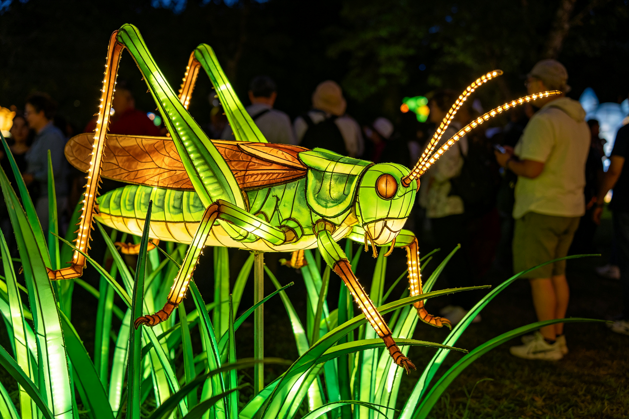 Chinese Lantern Show Planning Timeline: 9-Month Countdown